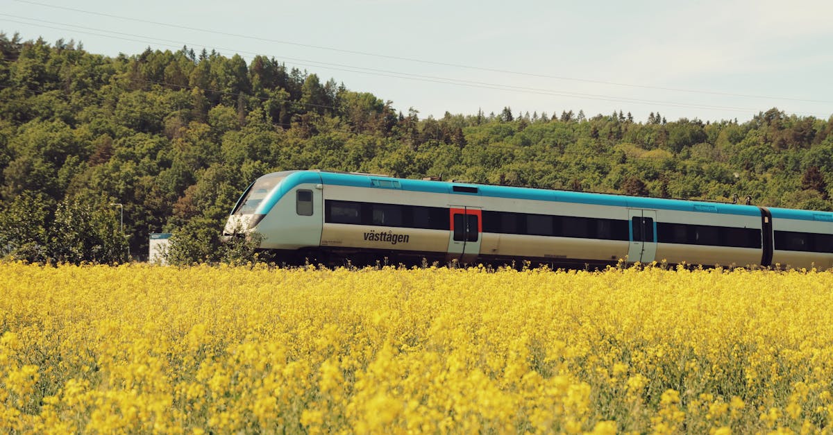 embark on a legendary train experience and journey through breathtaking landscapes with unparalleled luxury and comfort.